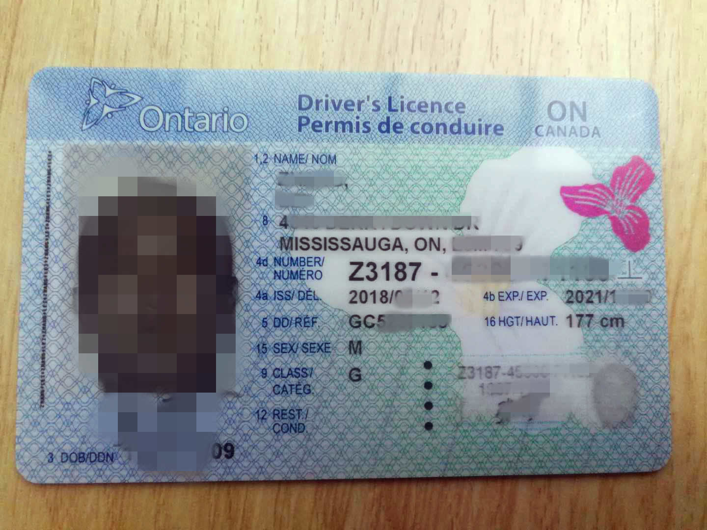 加拿大驾照