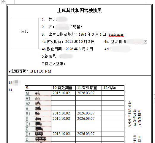 南非驾照翻译模板